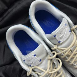 Giày Nike Sb Dunk Wolf Grey Pure Platinum - 2