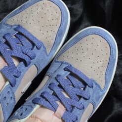 Giày Nike Sb Punk - 6