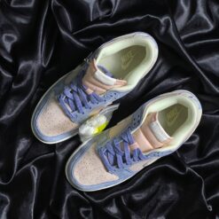 Giày Nike Sb Punk - 8